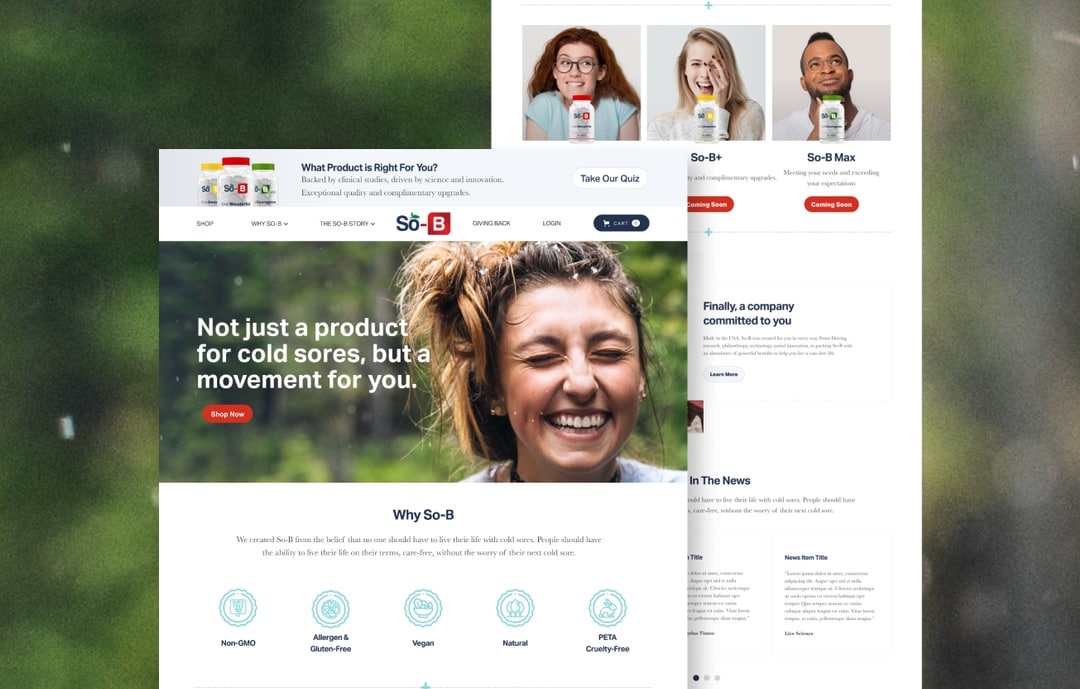 Ecommerce Website | Low İstanbul Atlanta, GA Web Design & Digital Marketing